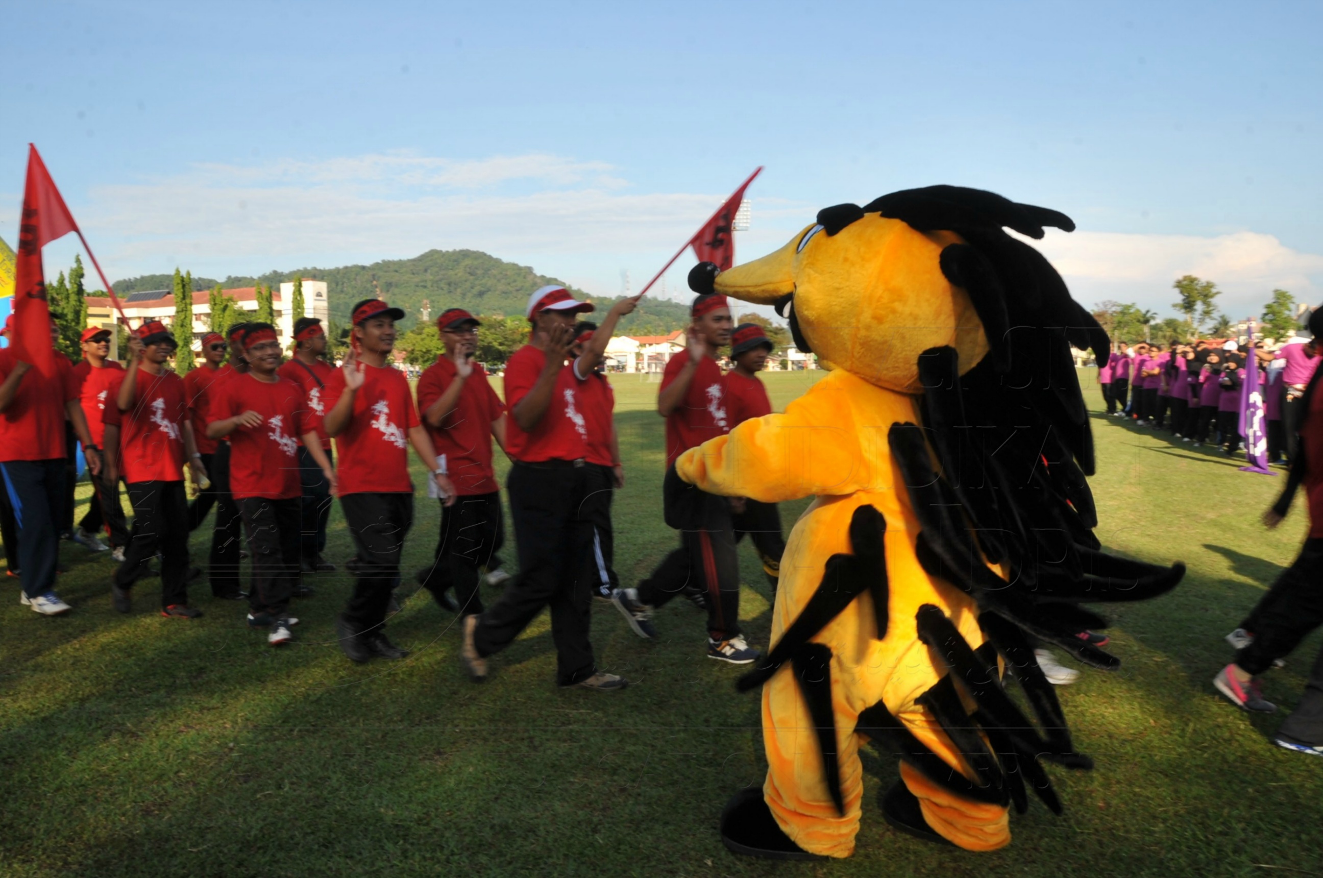 PRO 15 53 KIESTA HAS 3570